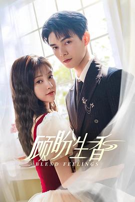 顾盼生香 第09集