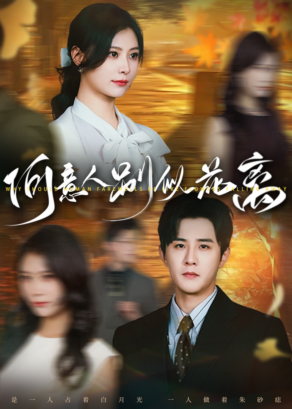 何意人别似花离 第07集