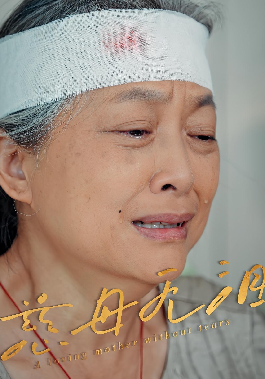慈母无泪 第13集