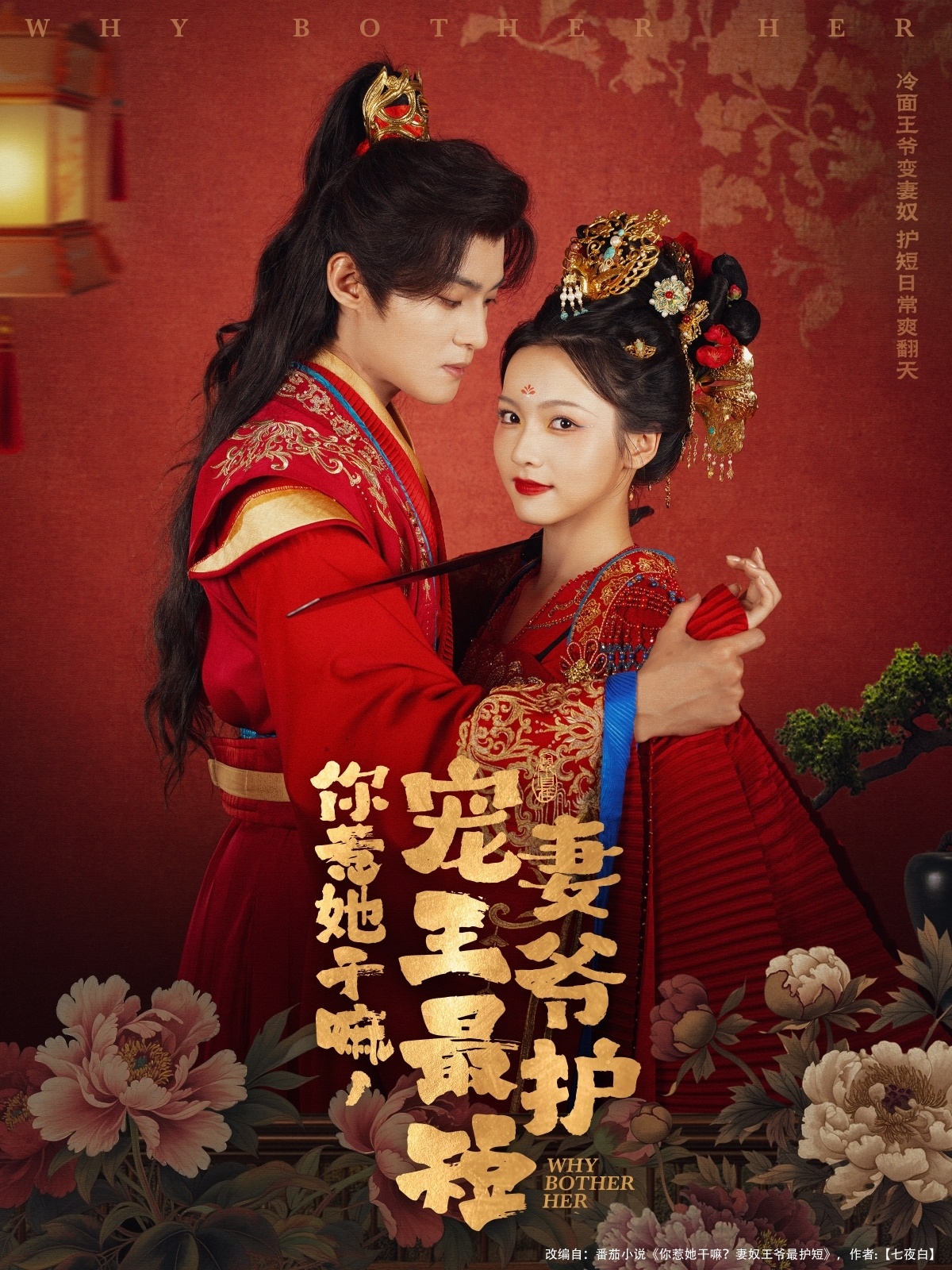 你惹她干嘛，宠妻王爷最护短 第15集