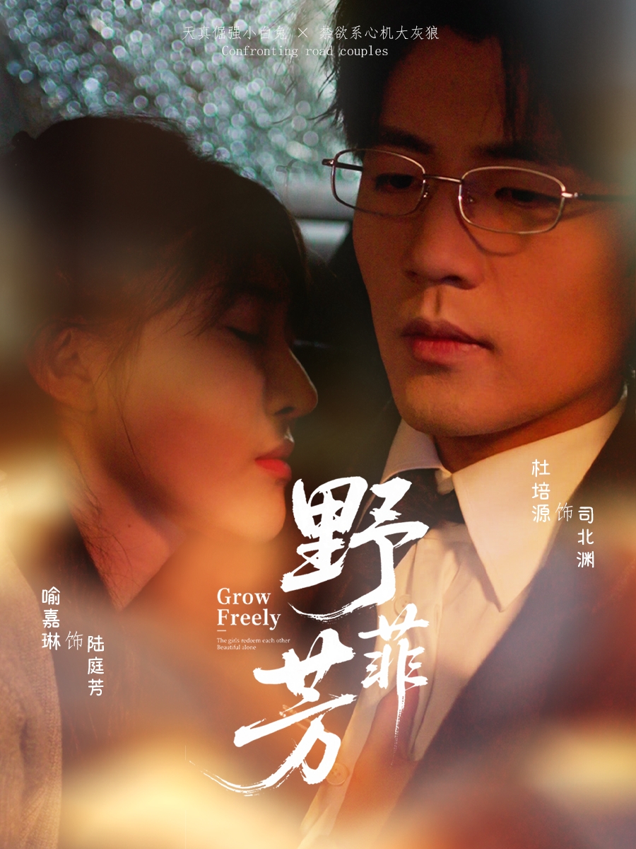 野芳菲 第04集