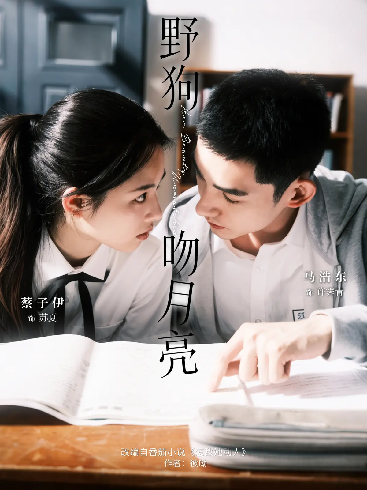 野狗吻月亮 第13集