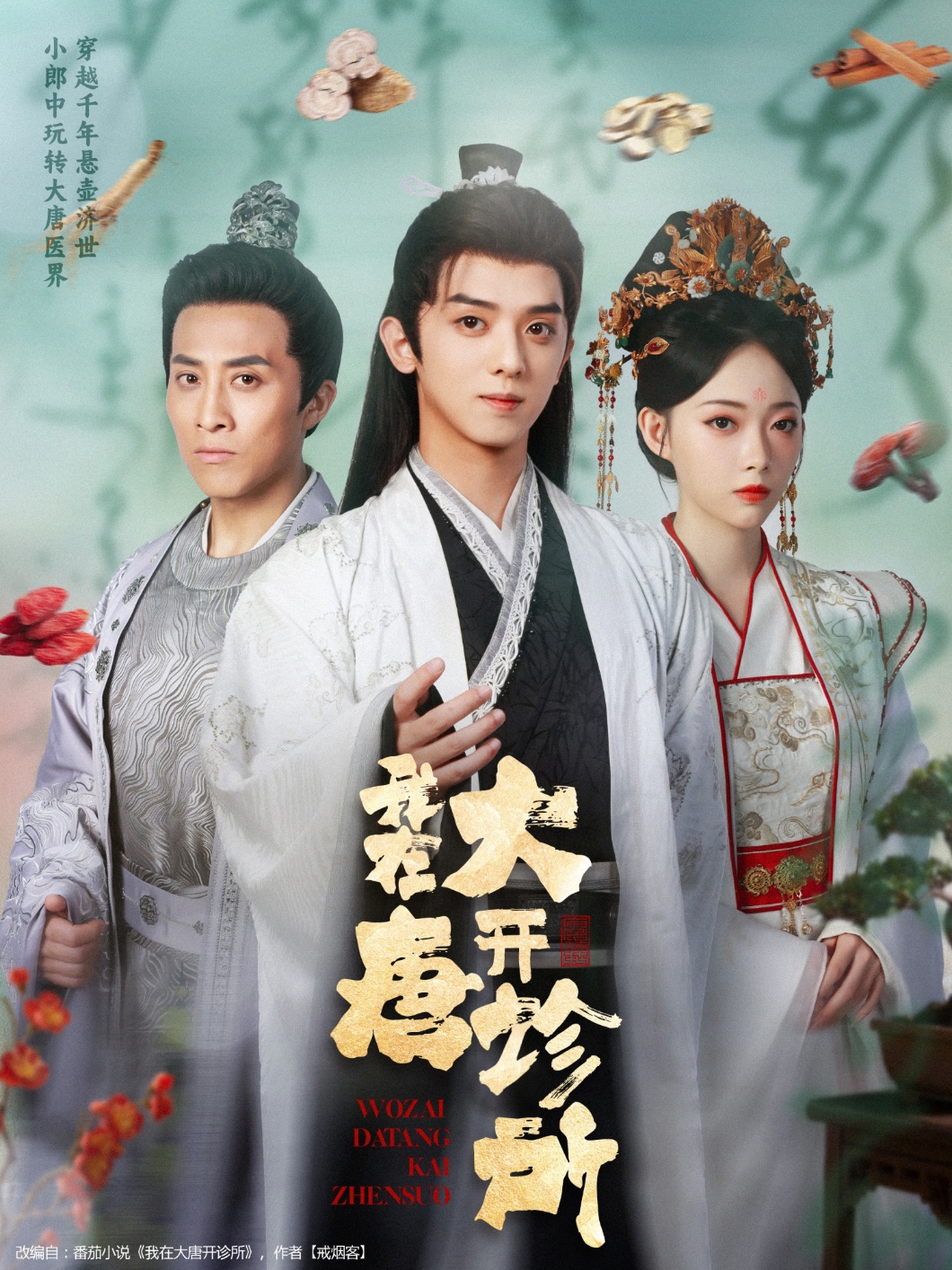 我在大唐开诊所 第02集
