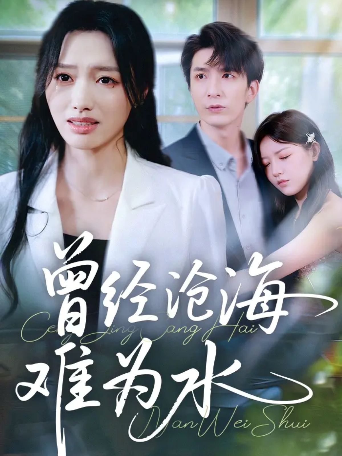 曾经沧海难为水(全集)