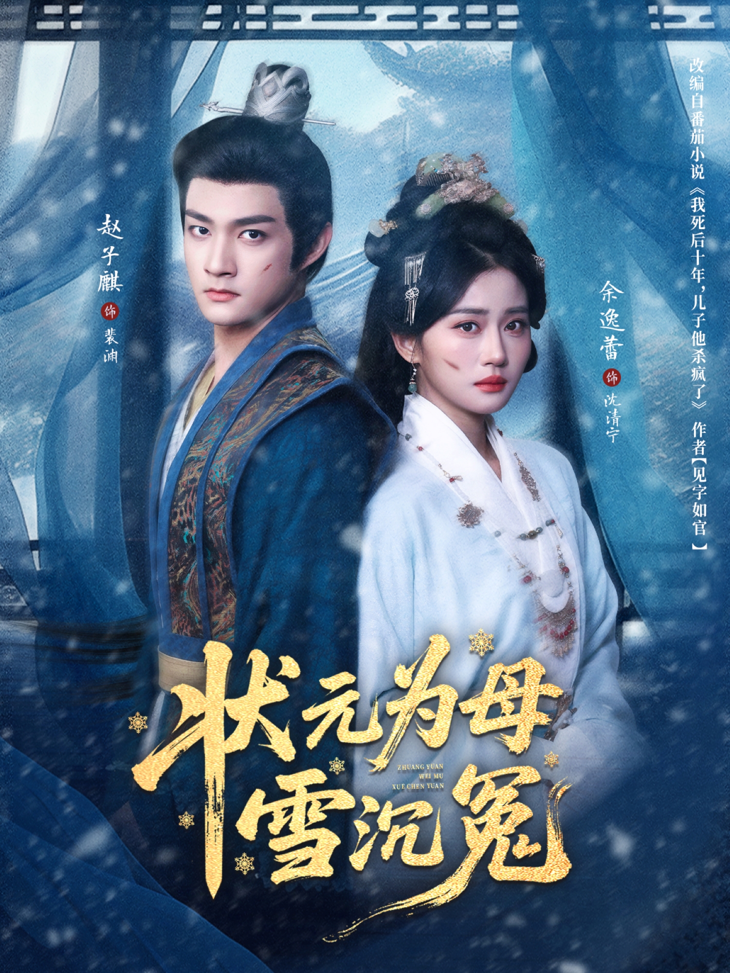 状元为母雪沉冤 第25集