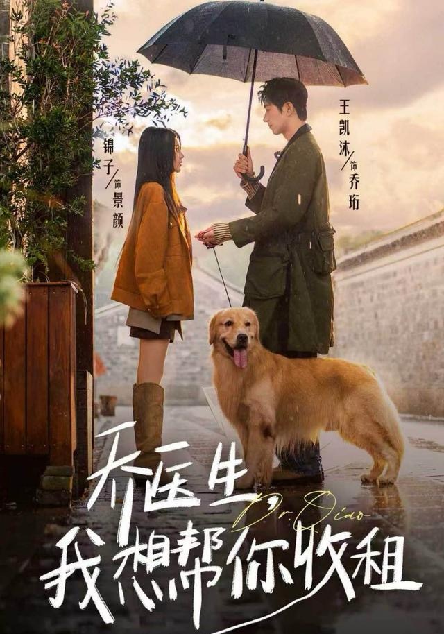 乔医生，我想帮你收租 第02集