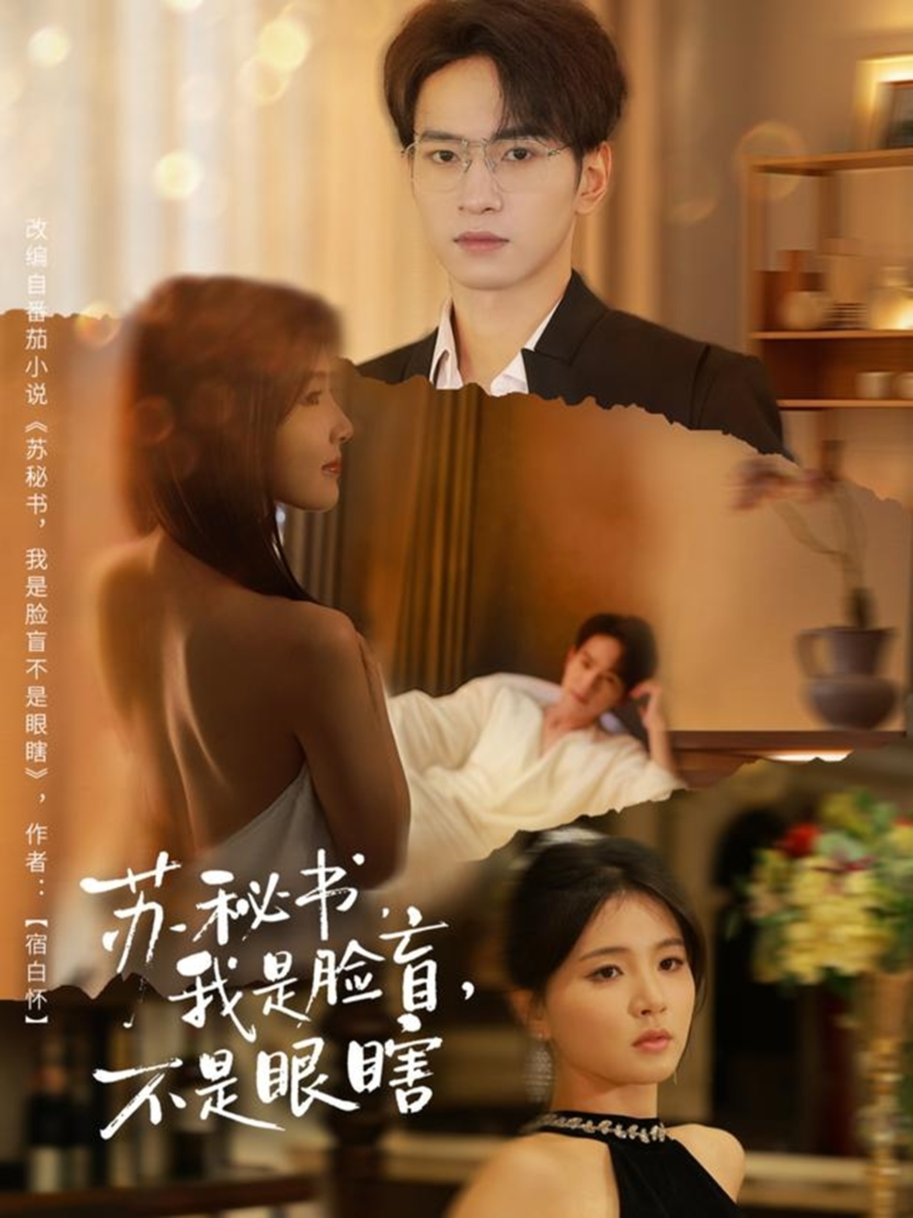 苏秘书我是脸盲不是眼瞎 第63集