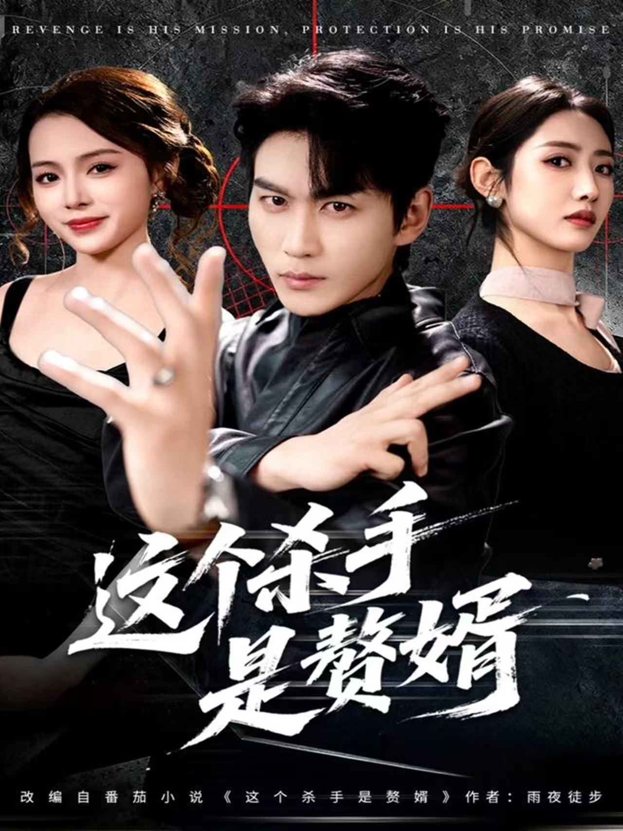 这个杀手是赘婿 第46集