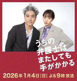 我家的律师又惹麻烦了(全集)