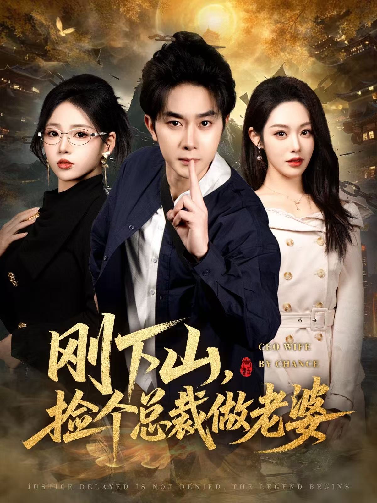 刚下山捡个总裁做老婆 第33集