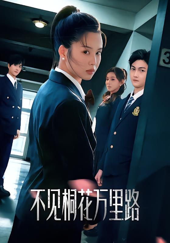 不见桐花万里路 第01集