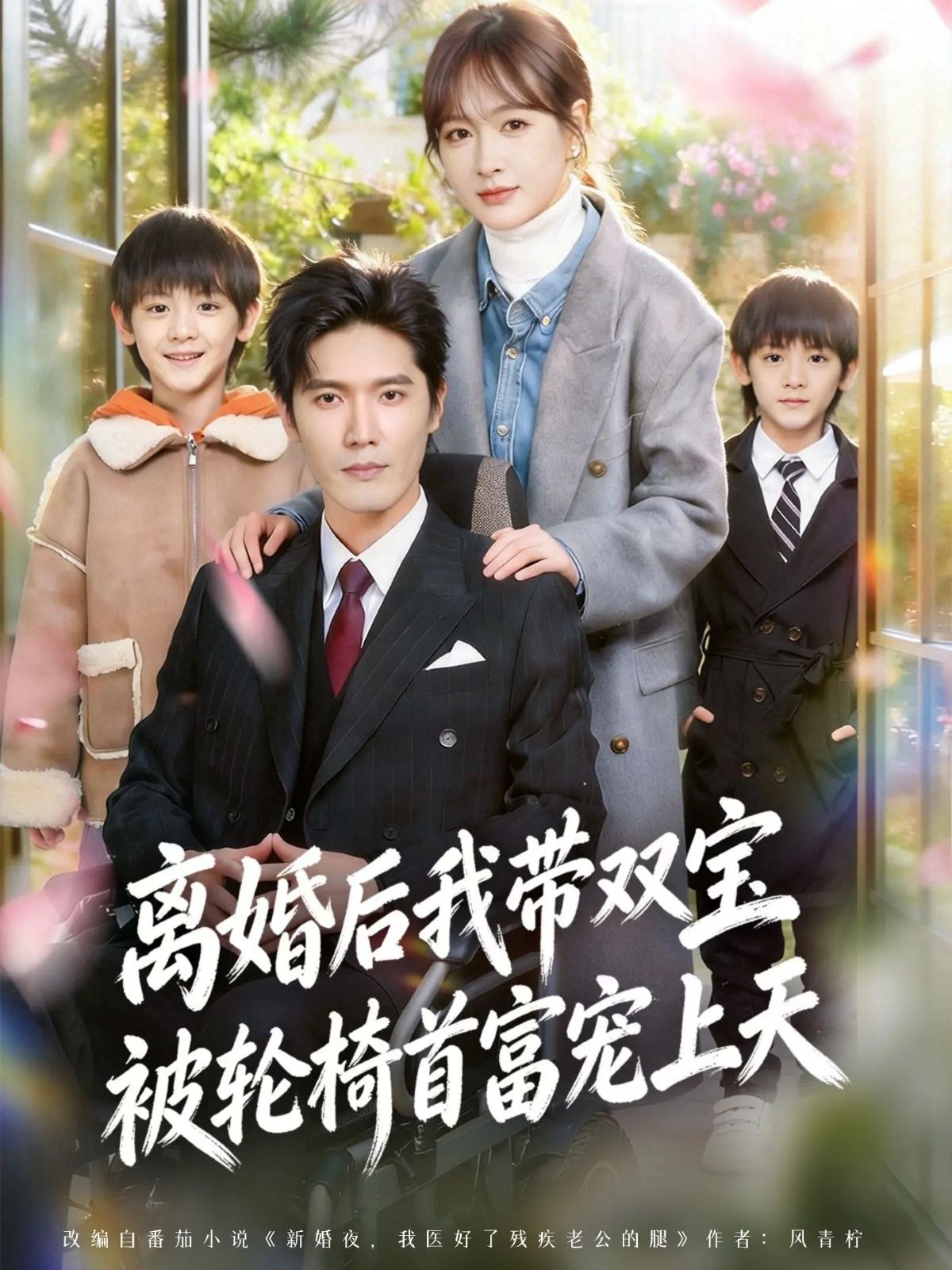离婚后，我被轮椅首富宠上天 HD(大结局)